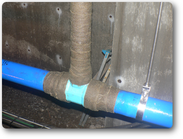 kyuusuikan.petororatamu.web.png kyuusuikan.petororatamu.web.png