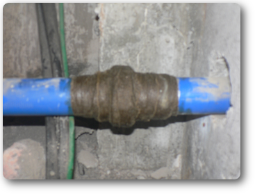 kyuusuiyunion.petororatamu.web.png kyuusuiyunion.petororatamu.web.png